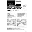 PIONEER GM2000 Service Manual